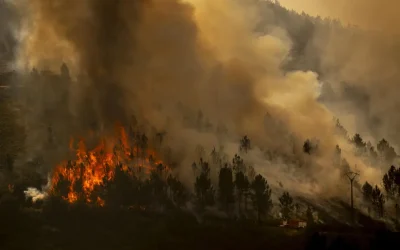 Apoyo y solidaridad ante los incendios producidos en la  región